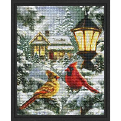 PixelHobby Cardinals Kit & Frame Mosaic Art Kit • $99.98