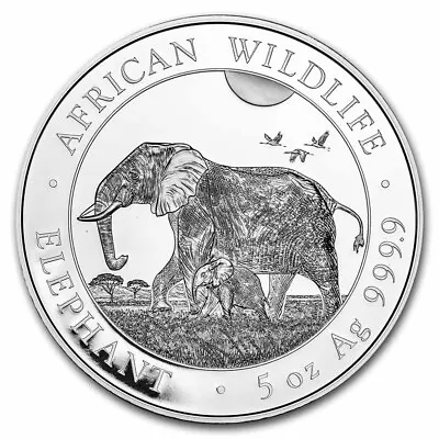 2022 Somalia 5 Oz Silver Elephant BU • $238.77