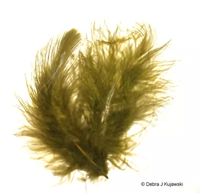 Quality Marabou Feathers OLIVE GREEN Fluffy  3-8  L 7 Grams Approx 35 Ct • $3.15