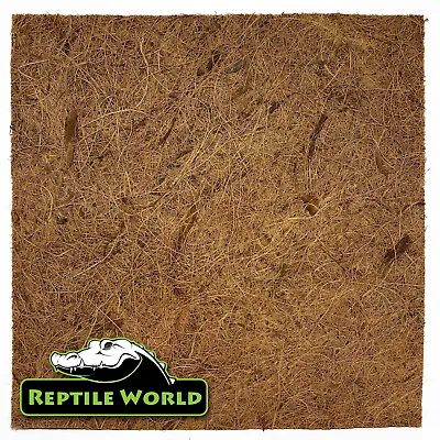 £7.99 • Buy Reptile World Coco Backgrounds - Reptile Vivarium & Terrarium Natural Decor
