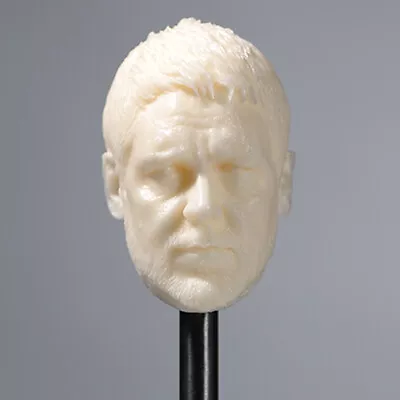 1/6 Male Russell Ira Crowe Gladiator Head Sculpt Carved For 12  PH TBL Figure • $13.15