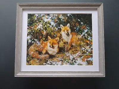 David Shepherd Print 'Winter Foxes'   FRAMED • £28.50