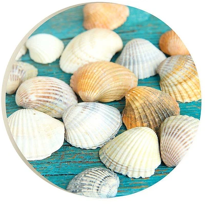 $2.99 • Buy P. Graham Dunn Coastal Shell Car Coaster One Size