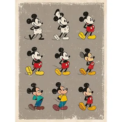 Mickey Mouse (Evolution) Official 30 X 40cm Canvas Print Wall Art • £24.95