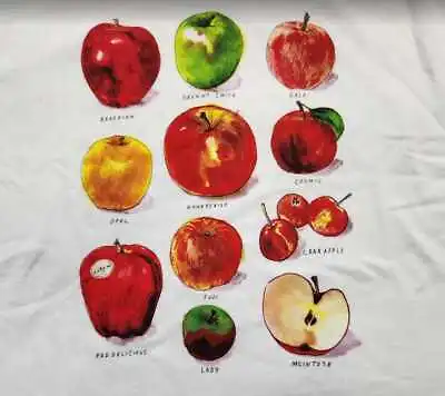 New Women's J Crew Factory Collector Tee Types Of Apples Grid T-shirt Apple • $34.99