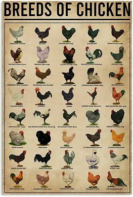 Breeds Of Chickens Poster Wall Art Home Decor Vintage Iron Painting Metal Tin Si • $15.85