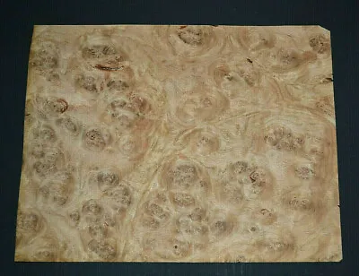 Oak Burl Raw Wood Veneer Sheet 7.5 X 10 Inches  1/42nd                  7685-50 • $12.99