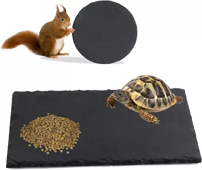 2 Pack Reptile Basking Platform Rock Tortoise Slate Feeding Dish & Food Bowl Re • $24.63