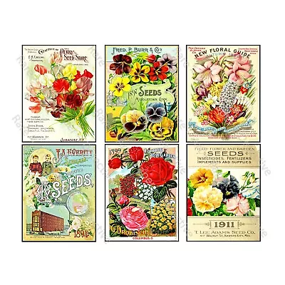 Seed Packet & Gardening Gifts Garden Sticker Reproductions Vintage Seed Art • $8.96