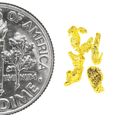 0.2275 Gram Alaska Natural Gold Nuggets - (#77063) - 6pcs Alaskan Gold Nuggets • $0.01