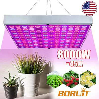 8000W LED Grow Light Full Spectrum Lamp Hydroponic Indoor Plant Flower Growing • $38.99