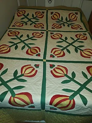 Vintage Handmade Applique Quilt Plus Extra Panel • $140