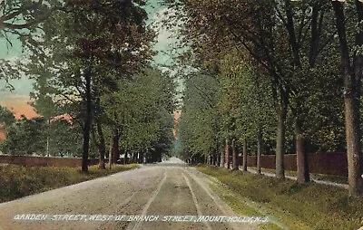 A View Of Garden Street West Of Branch Street Mount Holly New Jersey NJ 1909 • $9.95
