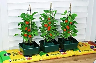 £13.99 • Buy 3x Growbag Plant Pots Tomato Pots Grow Bags Watering System Self Watering