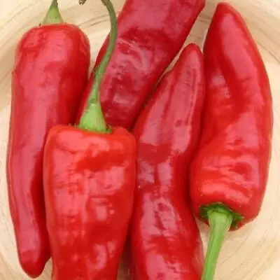 20 Red Marconi Pepper Seed - Free Ship - Beautiful Red Italian Pepper ! Sweet ! • $3.50