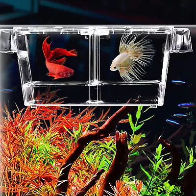 Plastic Fish Tank With Suction Cups Easy Cleaning Mini Aquarium Fish Tank • $7.60