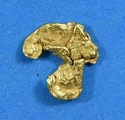 Alaskan-Yukon BC Gold Rush Natural Gold Nugget 0.26 Grams Genuine • $26.26