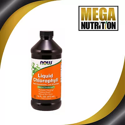 Now Foods Liquid Chlorophyll Mint Flavor 473ml | Oral Detox Colon Blood Cleanse • £27.99