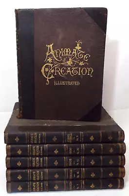 6 Old 1898 ANIMATE CREATION BOOKS Vol. 1-6 ZOOLOGY Complete Set ILLUSTRATED • $195