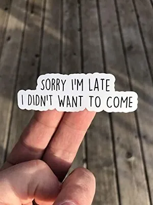 Sorry I'm Late I Didn't Come Sticker Vinyl Decal Phone Water Bottle Notebook • $3.25