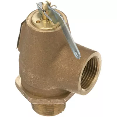 Safety Valve 3/4 M X 3/4 F • $89.80