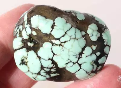 Lander Angelwing Chalcosiderite (Variscite) 34 Gram Lapidary Rough Lot #G • $59.99