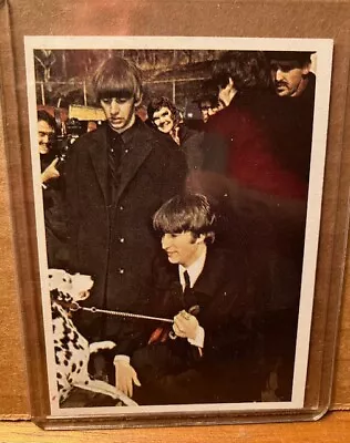 The BEATLES - 1964 TOPPS Color Card #32 - EX Condition  Lennon Starr & Dalmation • $6.95