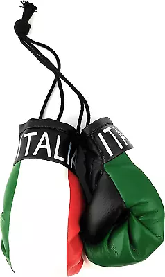 Hanging Car Mirror Mini Boxing Gloves (Italy) • $14.99