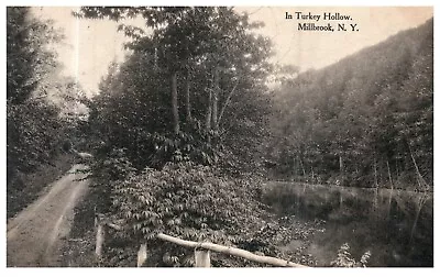 NY New York Millbrook Turkey Hollow Landscape 1915 Vintage Postcard-Z2-268 • $15.99