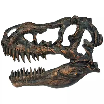 T-Rex Head Wood MFD Wall Decor #4026 • £41.52