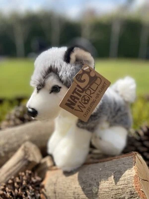 £7.90 • Buy WORLD OF NATURE 31CM DOG QUALITY PLUSH SOFT TOY TEDDY New..