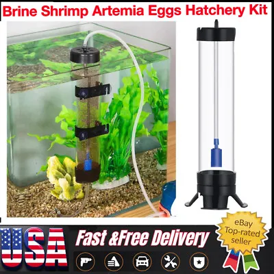 Brine Shrimp Artemia Eggs Hatchery Kit Aquarium Incubator Hatcher For Fish Tank • $15.99