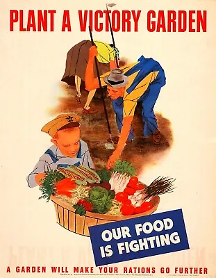 1943 Plant A Victory Garden (USA) WW2 Propaganda Poster Office Wall • $16.95