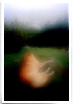 $170 • Buy Bogota Funsaver - Signed Photograph By Alec Soth - Limited First Edition 