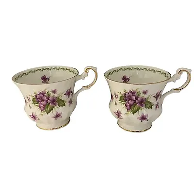 Vintage Queens Rosina China Co February Violets Special Flowers Tea Cup X2 Cups • £10.49