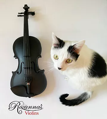 Rozanna's Carbon Composite Violin Outfit W Metallic Bird Tailpiece • $379