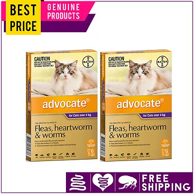 ADVOCATE 12 Doses Monthly Heartworm Flea Control Over 4 Kg PURPLE For Cats • $175.95