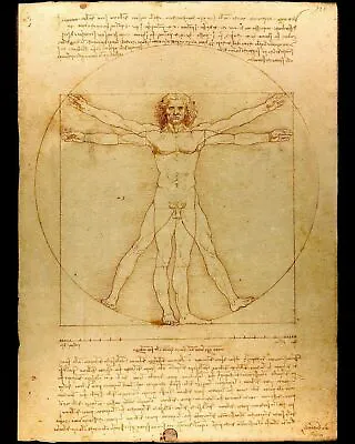 The Vitruvian Man - By Leonardo Da Vinci Art Painting Print • $12.99