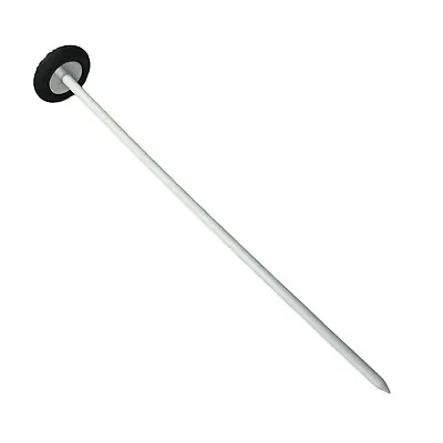 Babinski Reflex Hammer 13  Plastic Handle • $16.99