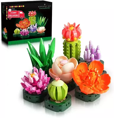 Succulents Plants Building Set - 7 Packs Valentines Day Gifts For Adults Kids - • $164.98