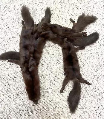 $49.99 • Buy Vintage Genuine Mink Stole Fur Scarf Wrap Auburn Collar 6 Full Body Pelts