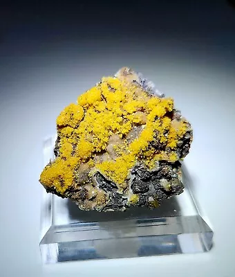 ***GREAT-Yellow Fibrous Sparkling Mimetite Crystals On Matrix Mine Mexico*** • $100