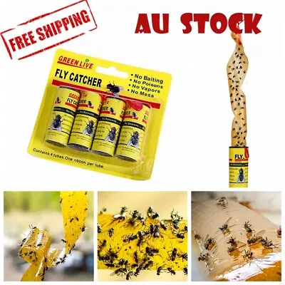 4-96 Rolls Sticky Fly Trap Paper Strip Insect Bug Catcher Strip Flies Sticker AU • $29.99