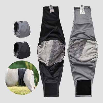 Reusable Dog Diaper Male Puppy Belly Wrap Elastic Band Washable Sanitary Pants • $11.99