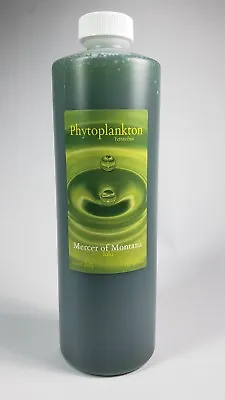 Live Marine Phytoplankton Tetraselmis 16oz. Bottle • $20.50