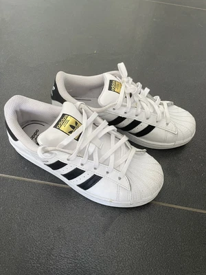 $40 • Buy Adidas Superstar Shoes Junior Size 3us / 2.5uk