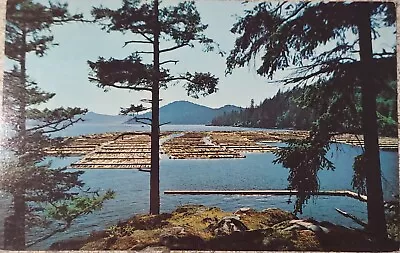 Vintage Postcard Log Booming Grounds Vancouver Island B. C. (A61) • $8.99