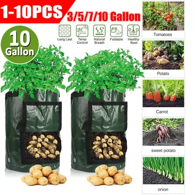 £7.29 • Buy 10X 10 Gallon Planting Growing Bags Potato Tomato Garden Plant Pots Container UK