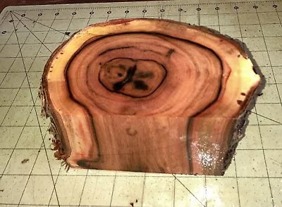 One Hawaiian Milo Wood Log~ 6  X 3 2/3  X 3 3/4 ~ Bowl Turning (#86) • $24