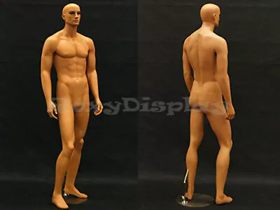 Realistic Male Mannequin With Tan Skin Color #MD-HAM25 • $279